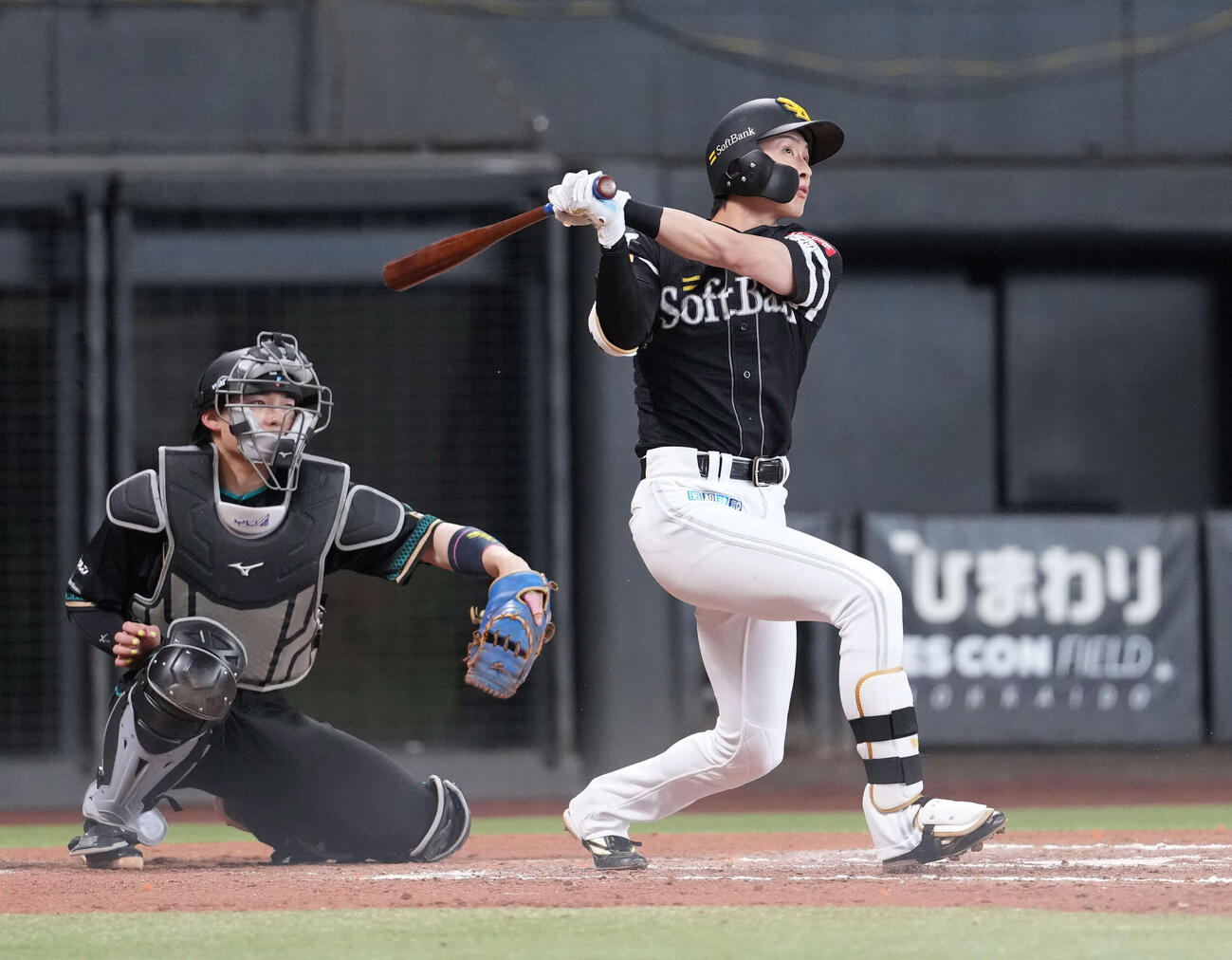 日本ハム対ソフトバンク　7回表ソフトバンク1死一塁、2点本塁打を放つ周東（撮影・井上学）