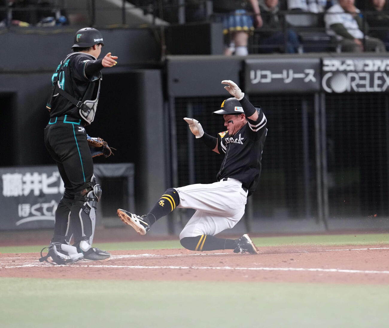 日本ハム対ソフトバンク　5回表ソフトバンク無死一、三塁、海野のスクイズで生還する海（撮影・井上学）