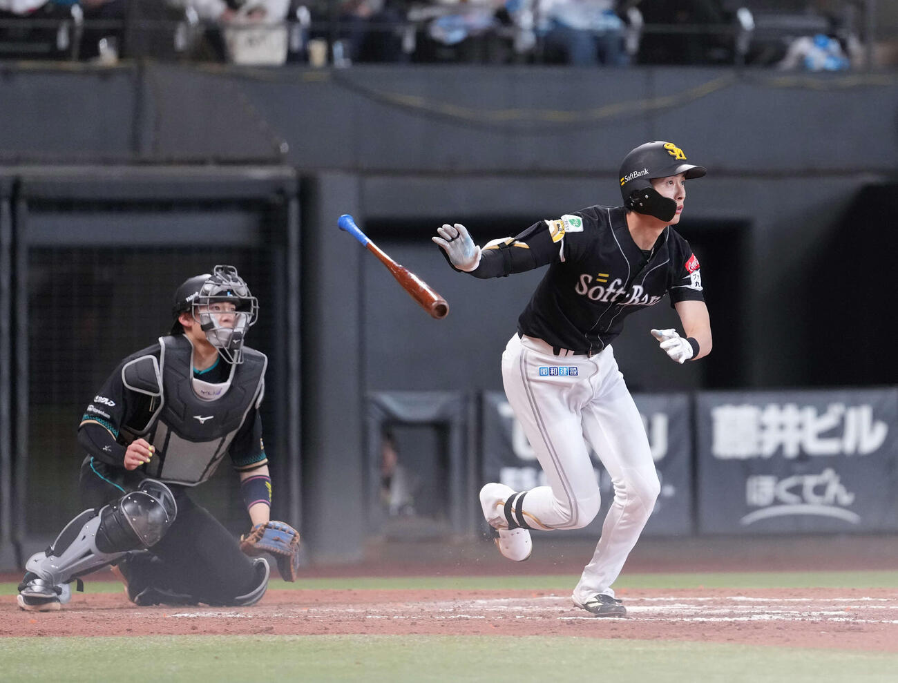 日本ハム対ソフトバンク　8回に犠飛を放つ周東（撮影・井上学）