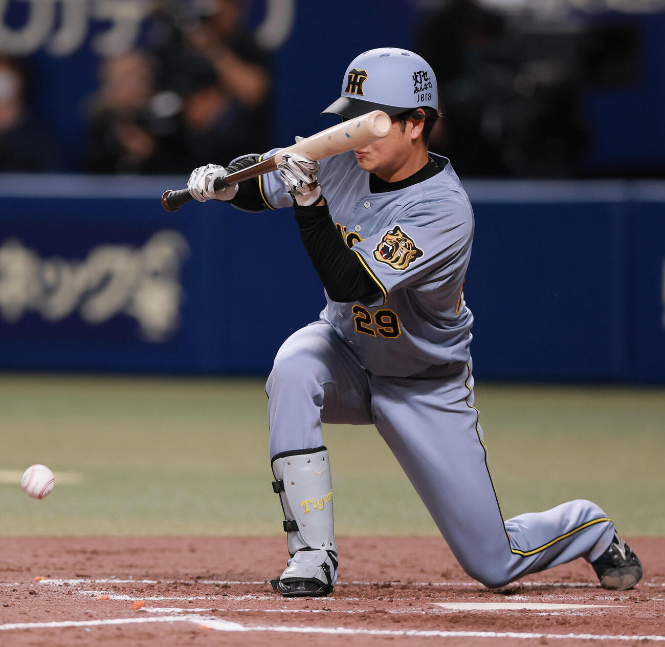 中日対阪神　5回表阪神1死一塁、送りバントを決める高橋（撮影・上山淳一）