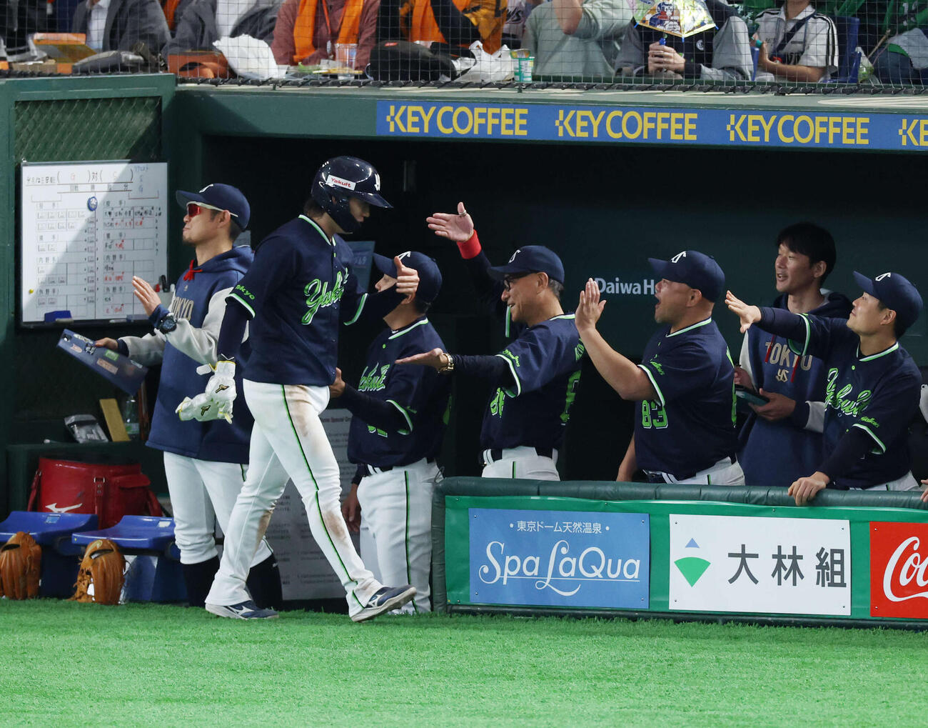 巨人対ヤクルト　3回表ヤト無死一塁、オスナの一ゴロで生還し池山隆寛監督（奥中央）とタッチ交わす長岡（撮影・増田悦実）