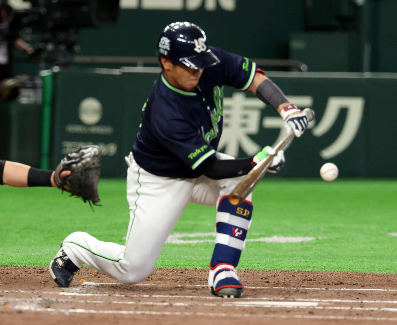 巨人対ヤクルト　3回表ヤクルト無死一、二塁、古賀は送りバントを決める（撮影・浅見桂子）