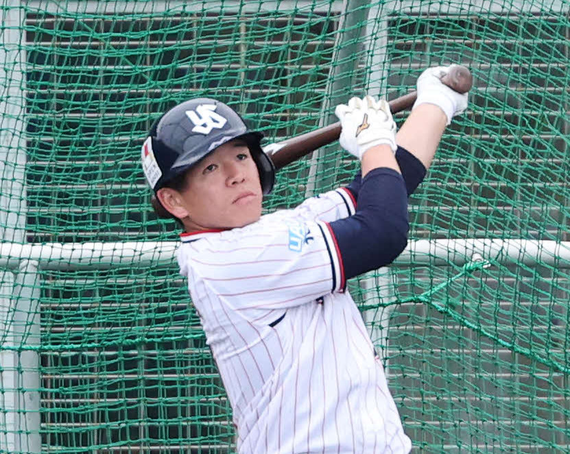 ヤクルト並木秀尊（2026年撮影）　