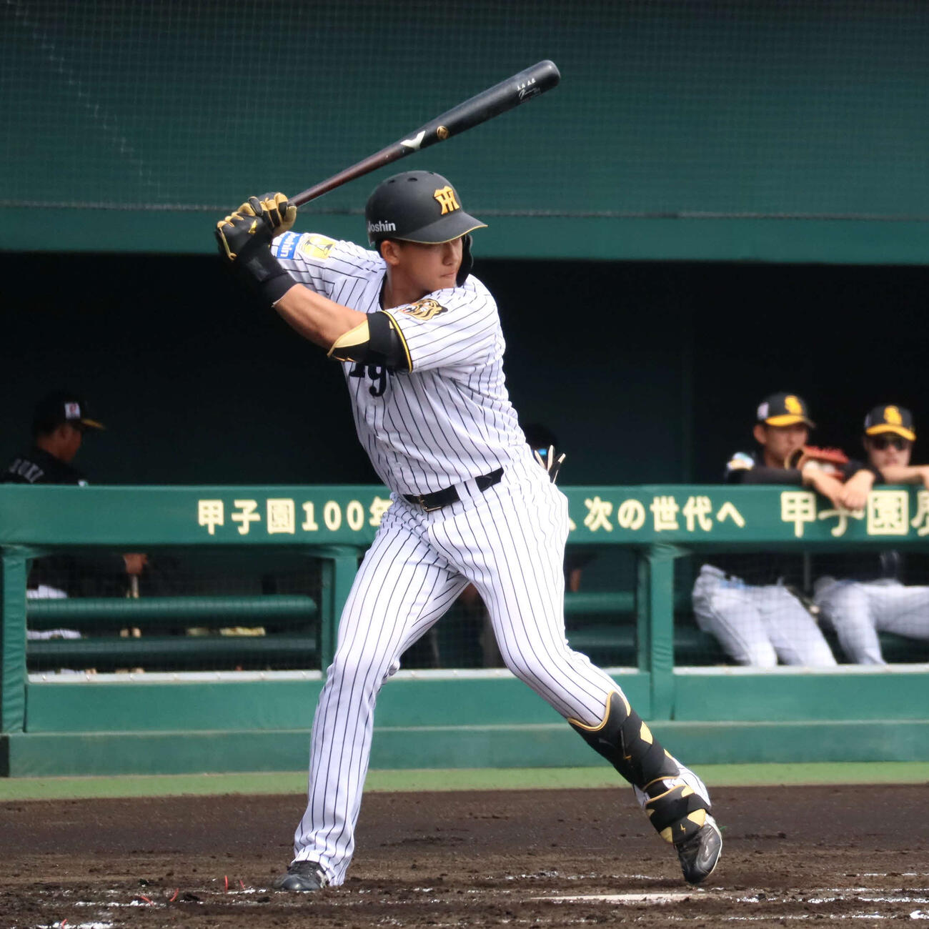 ファーム・リーグ西地区ソフトバンク戦に出場した阪神立石（撮影・村松万里子）