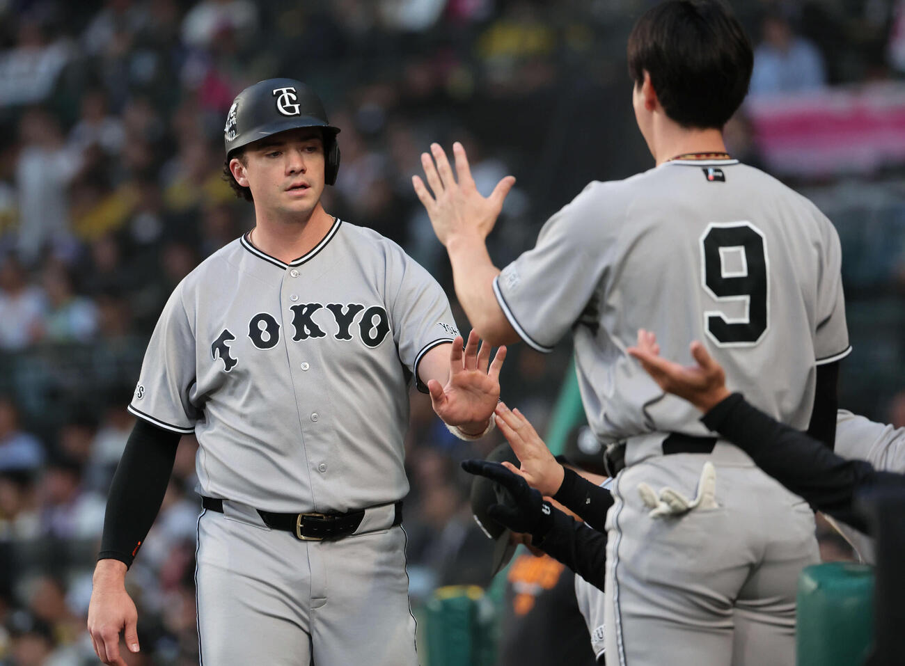 阪神対巨人　2回表巨人無死一、二塁、大城の適時打で生還したダルベックはベンチ前で祝福を受ける（撮影・西尾就之）