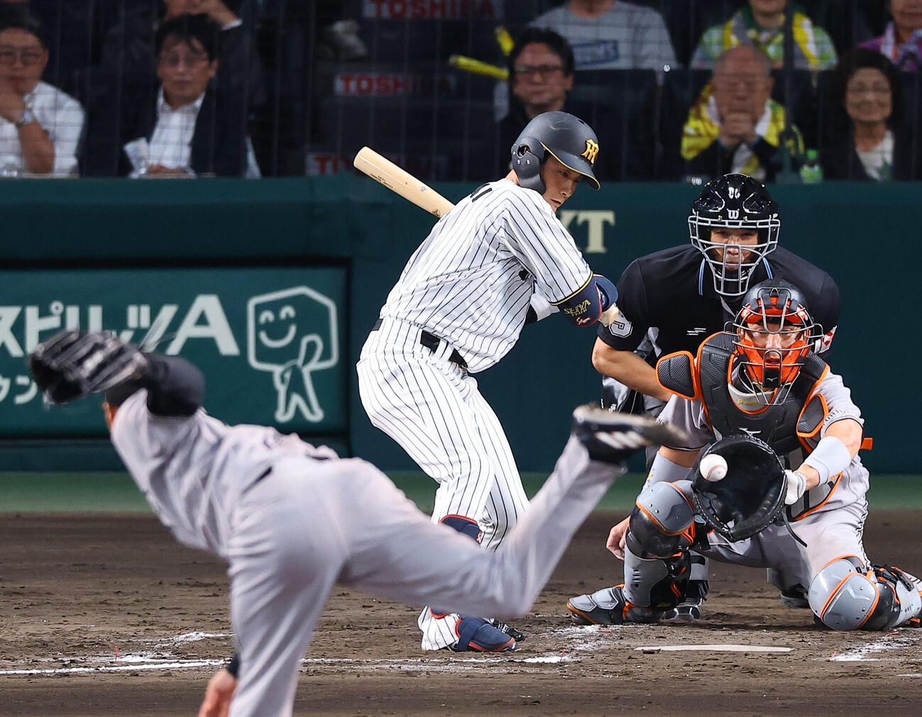 阪神対巨人　2回裏阪神2死、木浪は四球を選ぶ（撮影・上田博志）