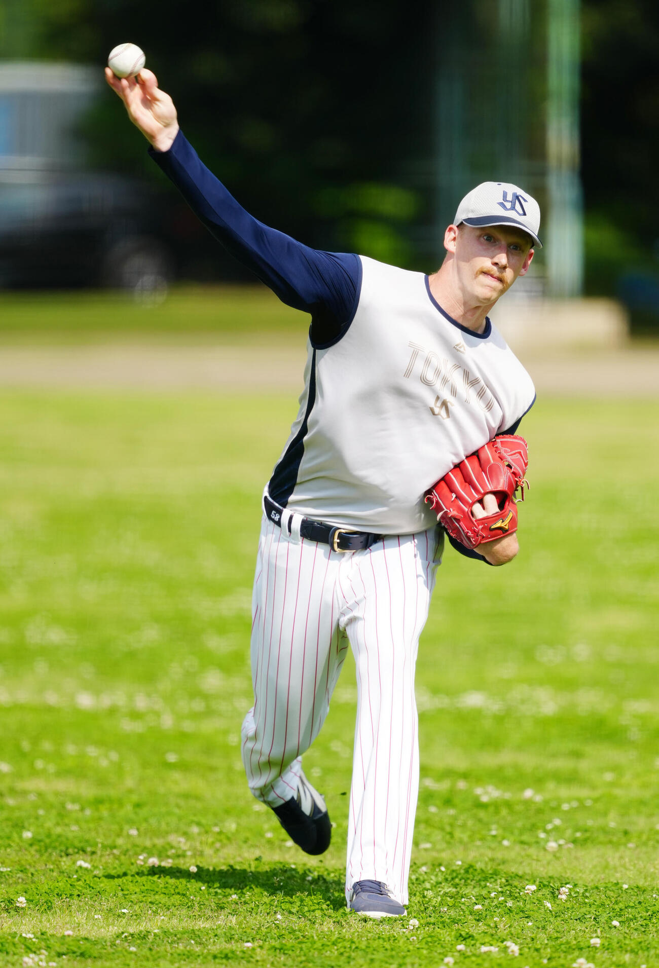 ヤクルト対DeNA　試合前練習でキャッチボールするヤクルト・ウォルターズ（撮影・江口和貴）