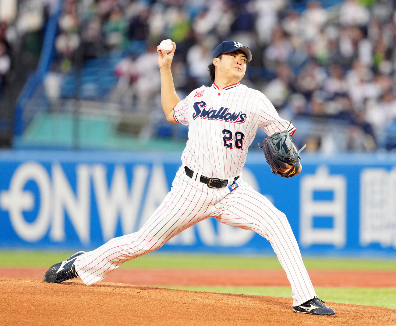 ヤクルト対DeNA　ヤクルト先発の松本健（撮影・江口和貴）