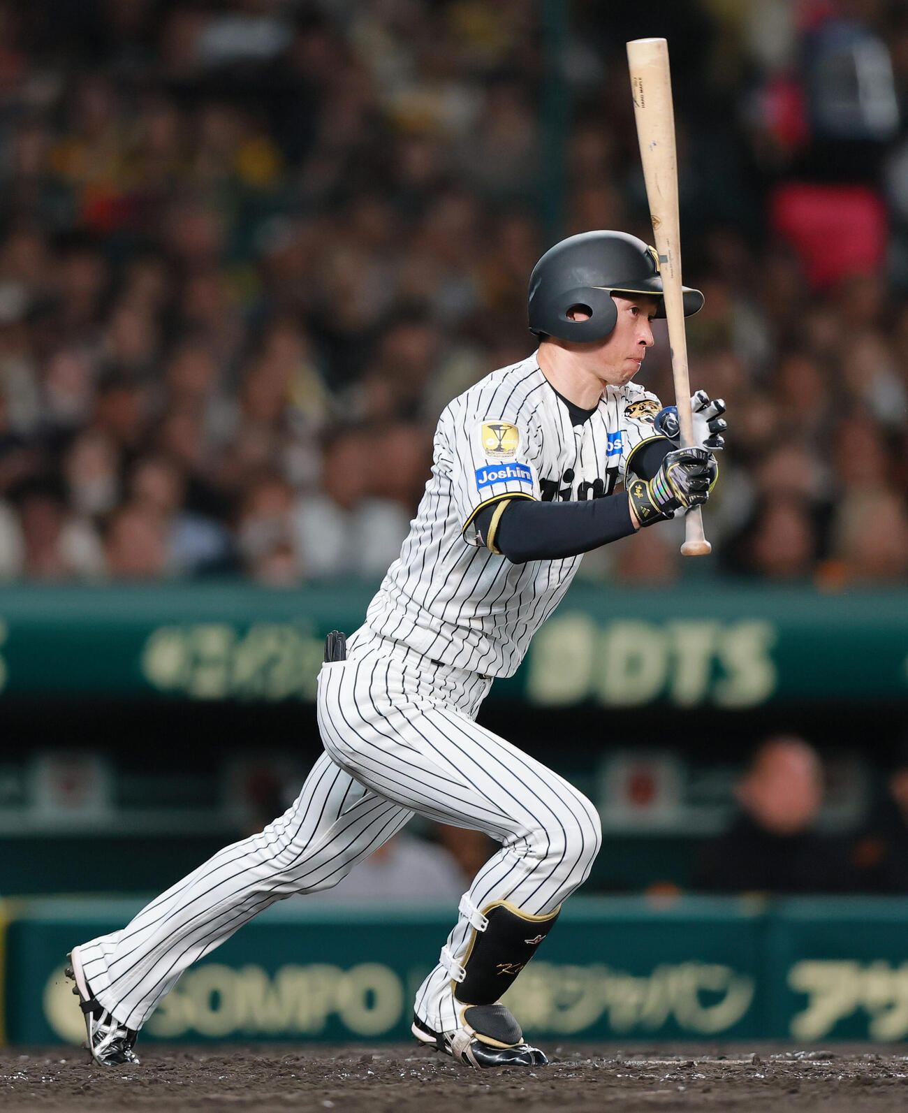 阪神対巨人　5回裏阪神1死一、二塁、安打を放つ近本（撮影・上山淳一）