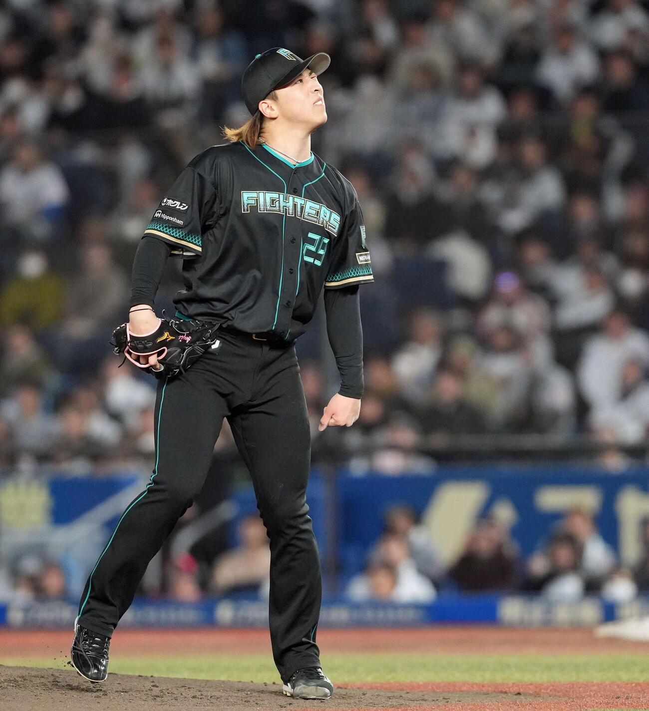 ロッテ対日本ハム　1回裏ロッテ無死、自分の想うような投球出来ず顔をしかめる日本ハム先発細野（撮影・たえ見朱実）