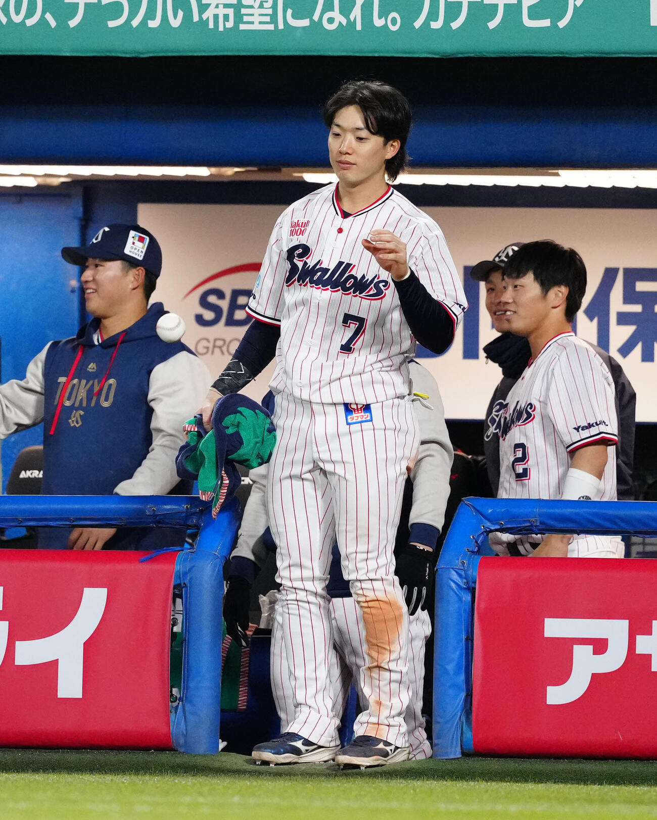 ヤクルト対DeNA 2回裏、ヤクルト松本健のプロ初安打となった記念球を受け取る長岡（中央）（撮影・江口和貴）