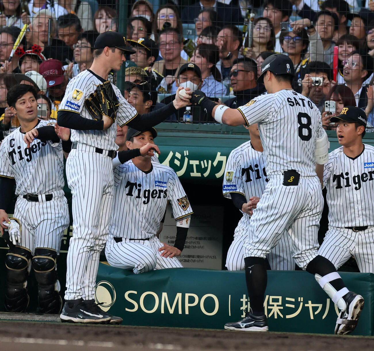 阪神対巨人　1回裏阪神2死一塁、佐藤（右）は中越え2点本塁打を放ちベンチ前のルーカス（左）とタッチ（撮影・加藤哉）