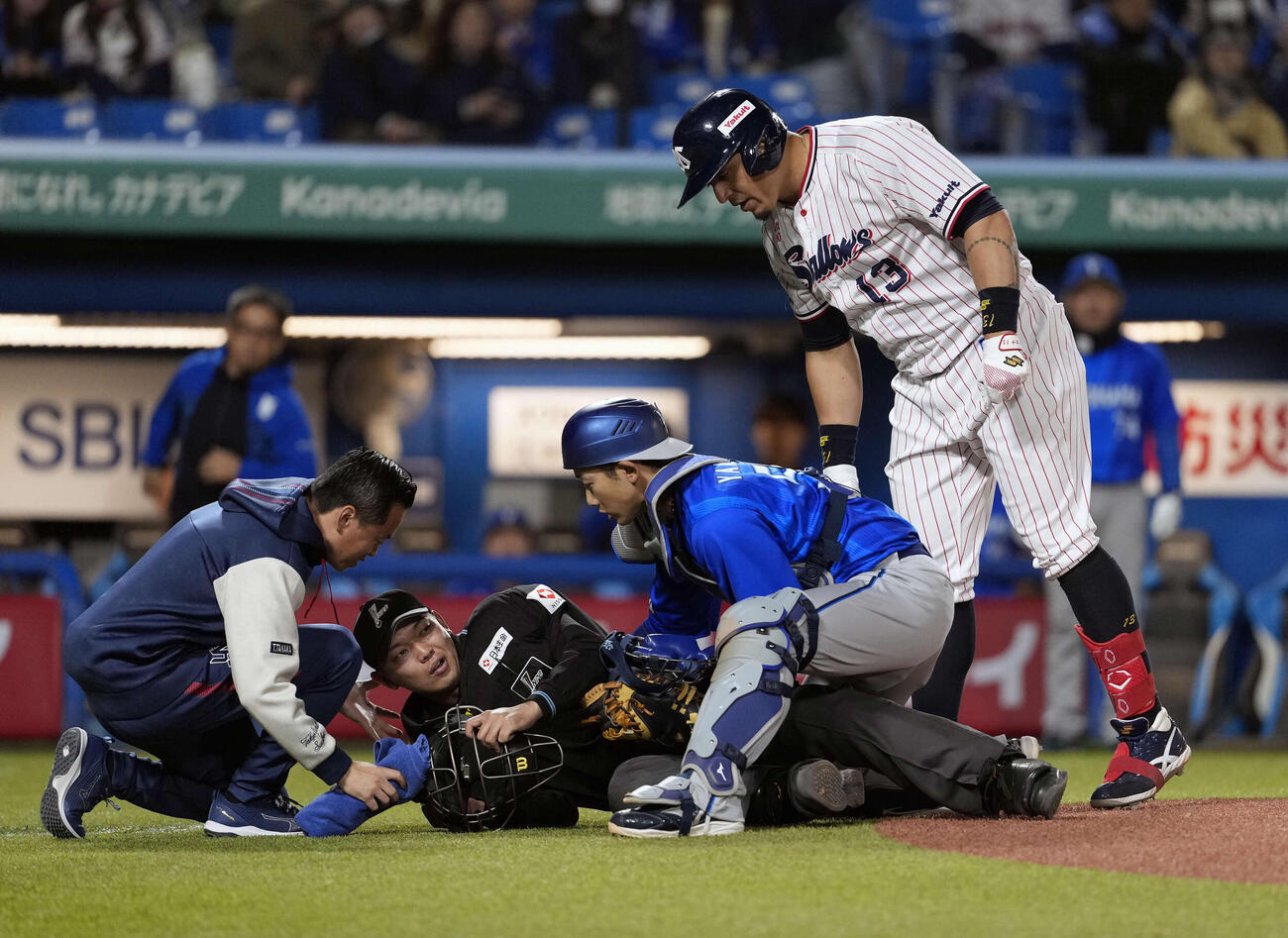 ヤクルト対DeNA 8回裏ヤクルト無死、オスナのバットが主審に当たり救護活動が行われる（撮影・小島史椰）