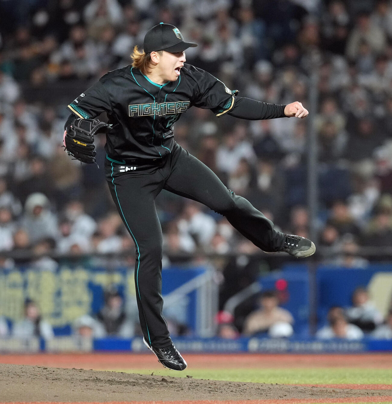 ロッテ対日本ハム　力投する日本ハム細野（撮影・たえ見朱実）