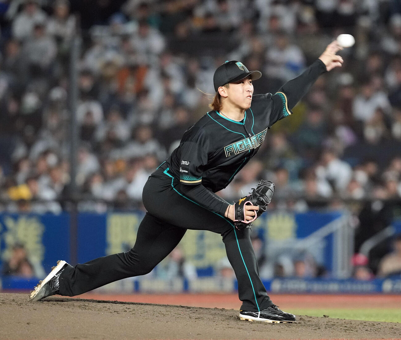 ロッテ対日本ハム　力投する日本ハム細野（撮影・たえ見朱実）