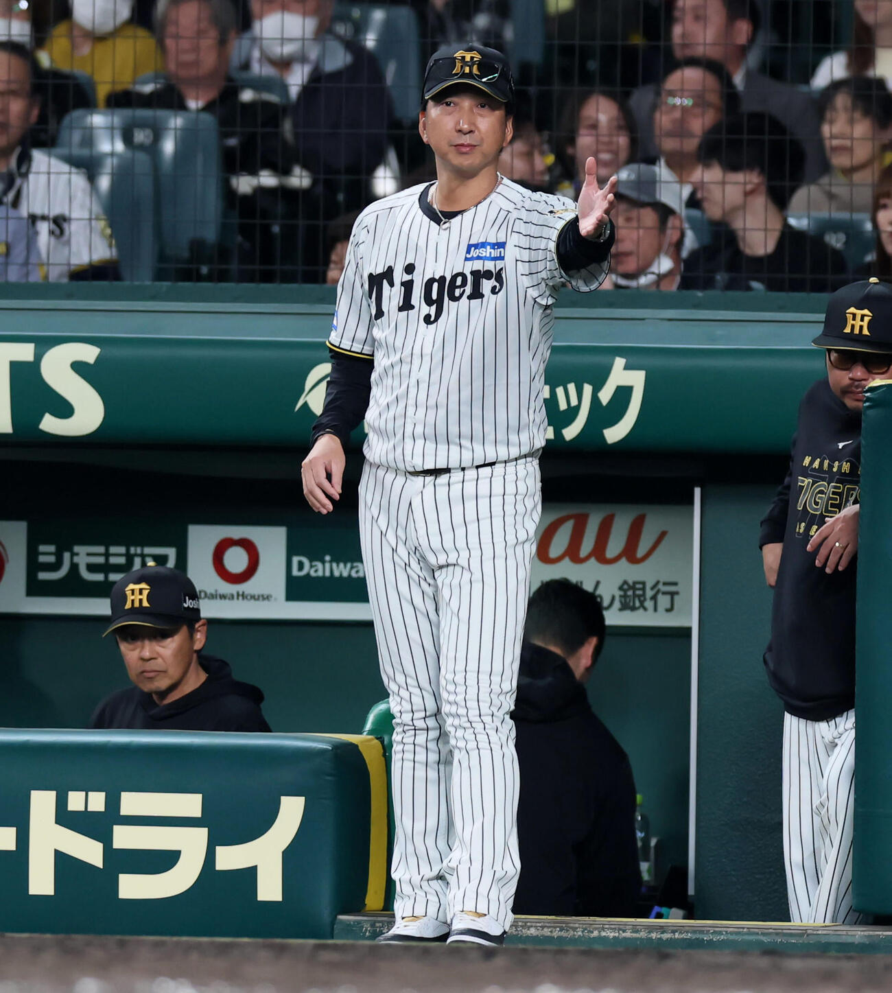 阪神対巨人　5回裏阪神1死一塁、代打福島を告げる藤川監督（撮影・加藤哉）