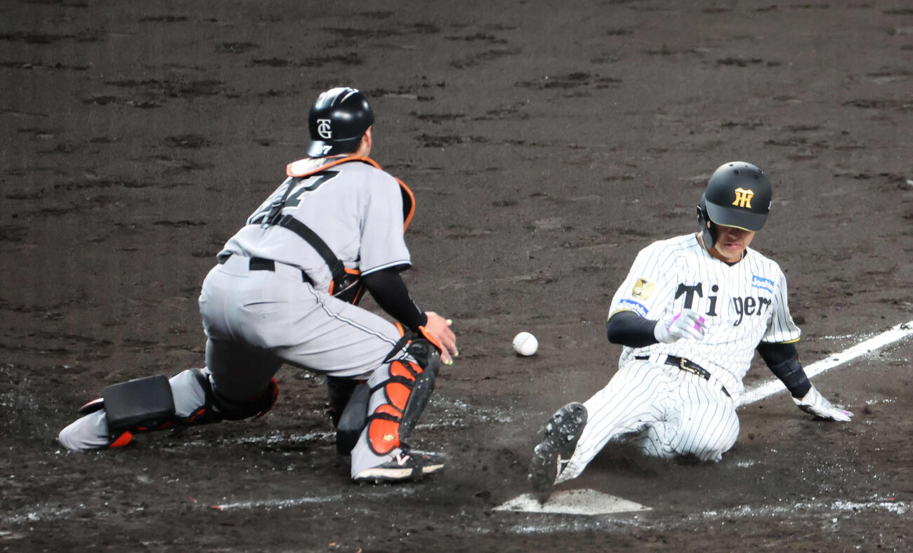 阪神対巨人　5回裏阪神1死満塁、中野の犠飛で三走小幡が生還（撮影・西尾就之）