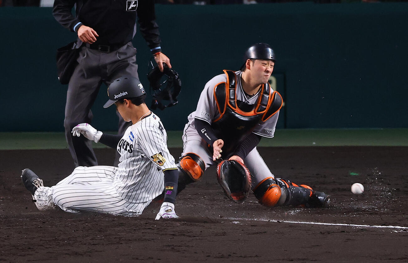 阪神対巨人　5回裏阪神1死満塁、小幡は中野の犠飛で生還する（撮影・上田博志）