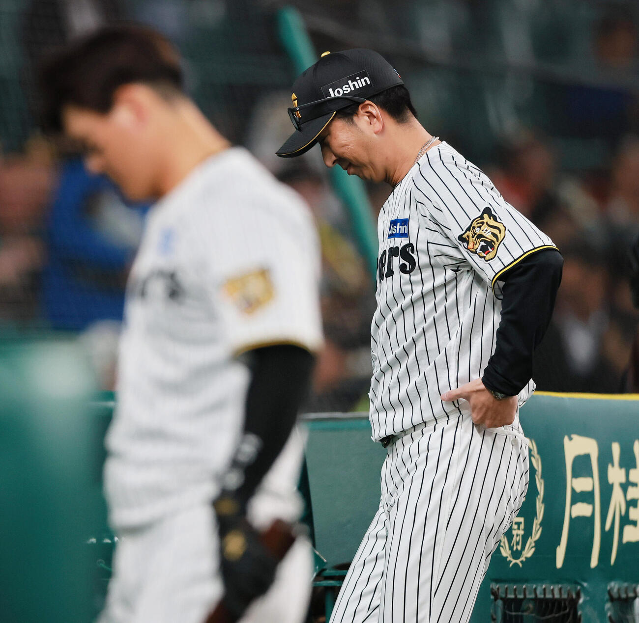 阪神対巨人　8回を終え、阪神藤川監督は球審に交代を告げベンチに戻る（撮影・上山淳一）