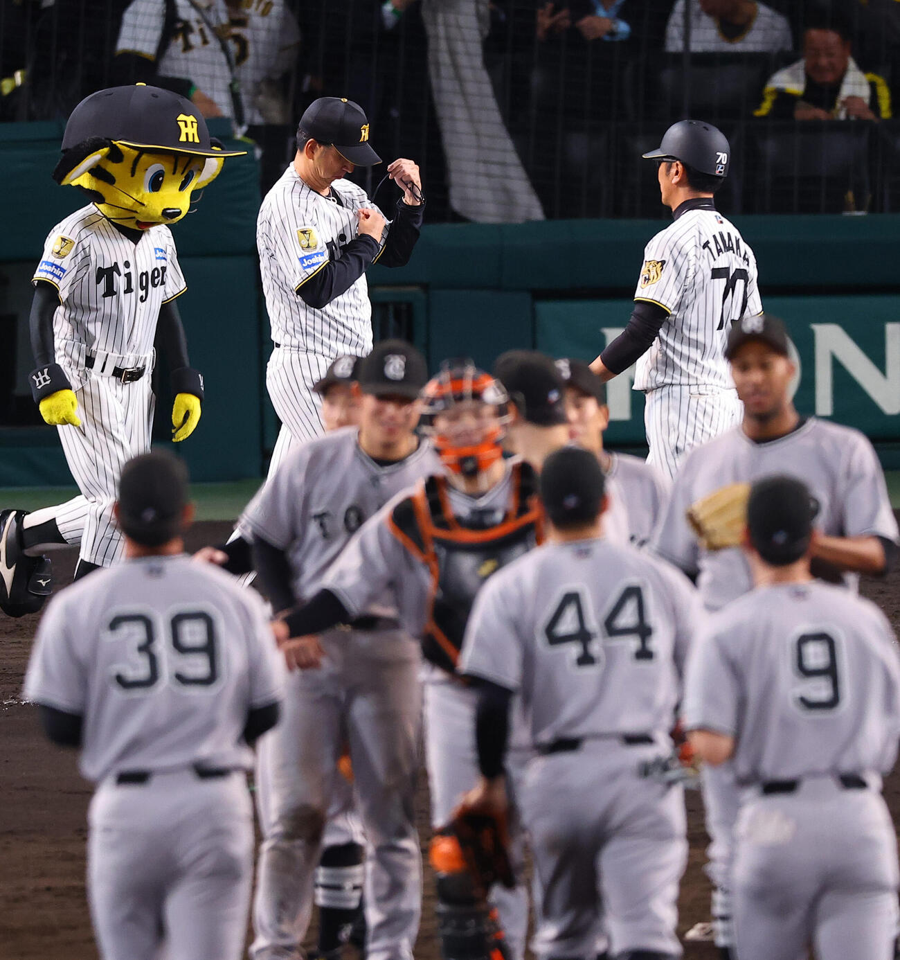阪神対巨人　巨人に敗れた藤川監督（中央）はファンへのあいさつに向かう（撮影・上田博志）