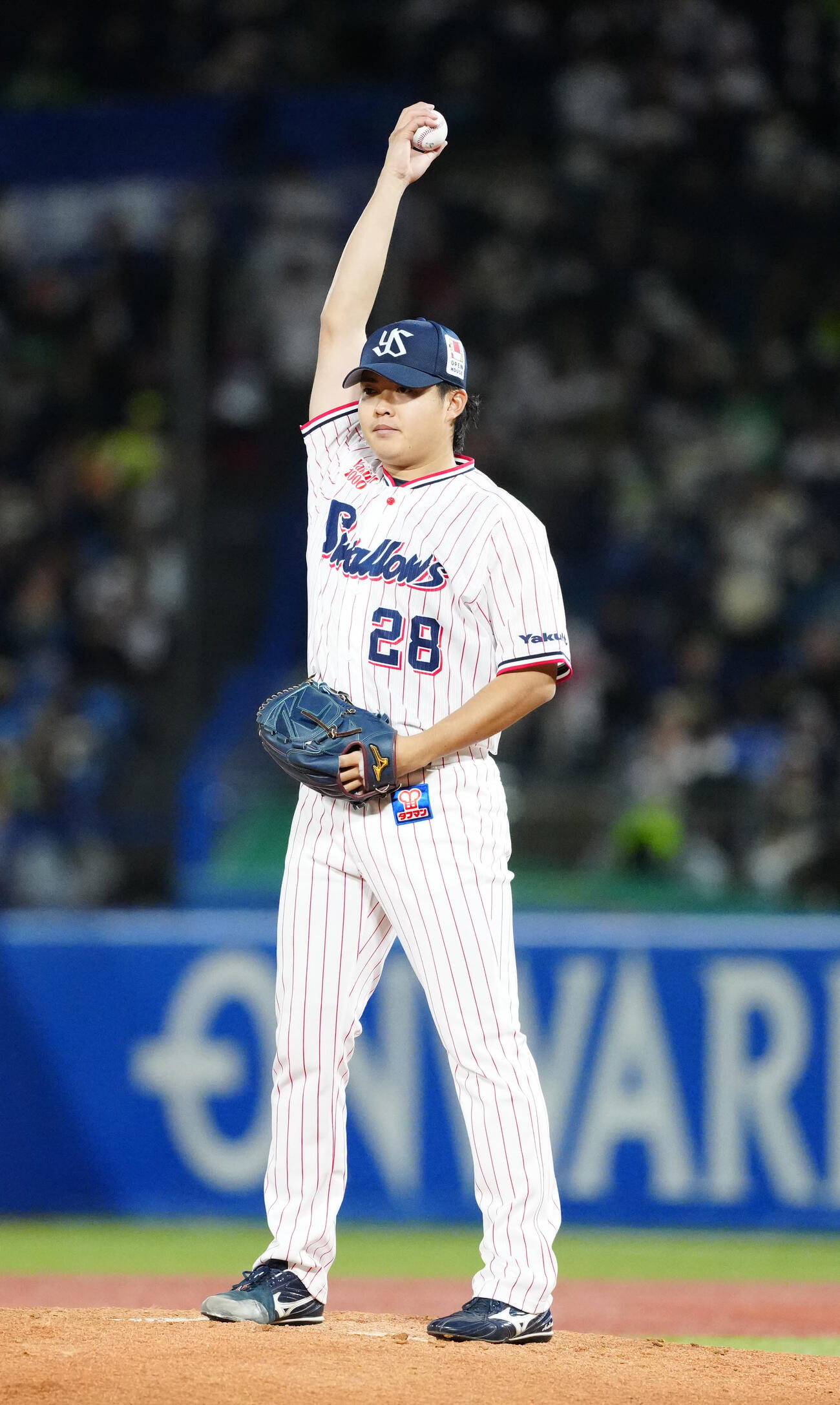 ヤクルト対DeNA　ヤクルト先発の松本健（撮影・江口和貴）