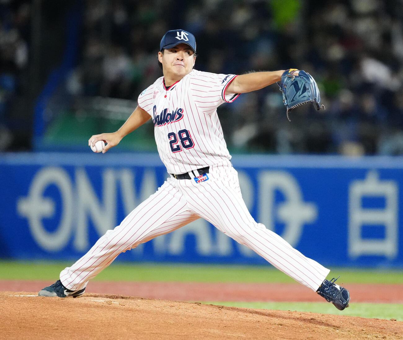 ヤクルト対DeNA　ヤクルト先発の松本健（撮影・江口和貴）