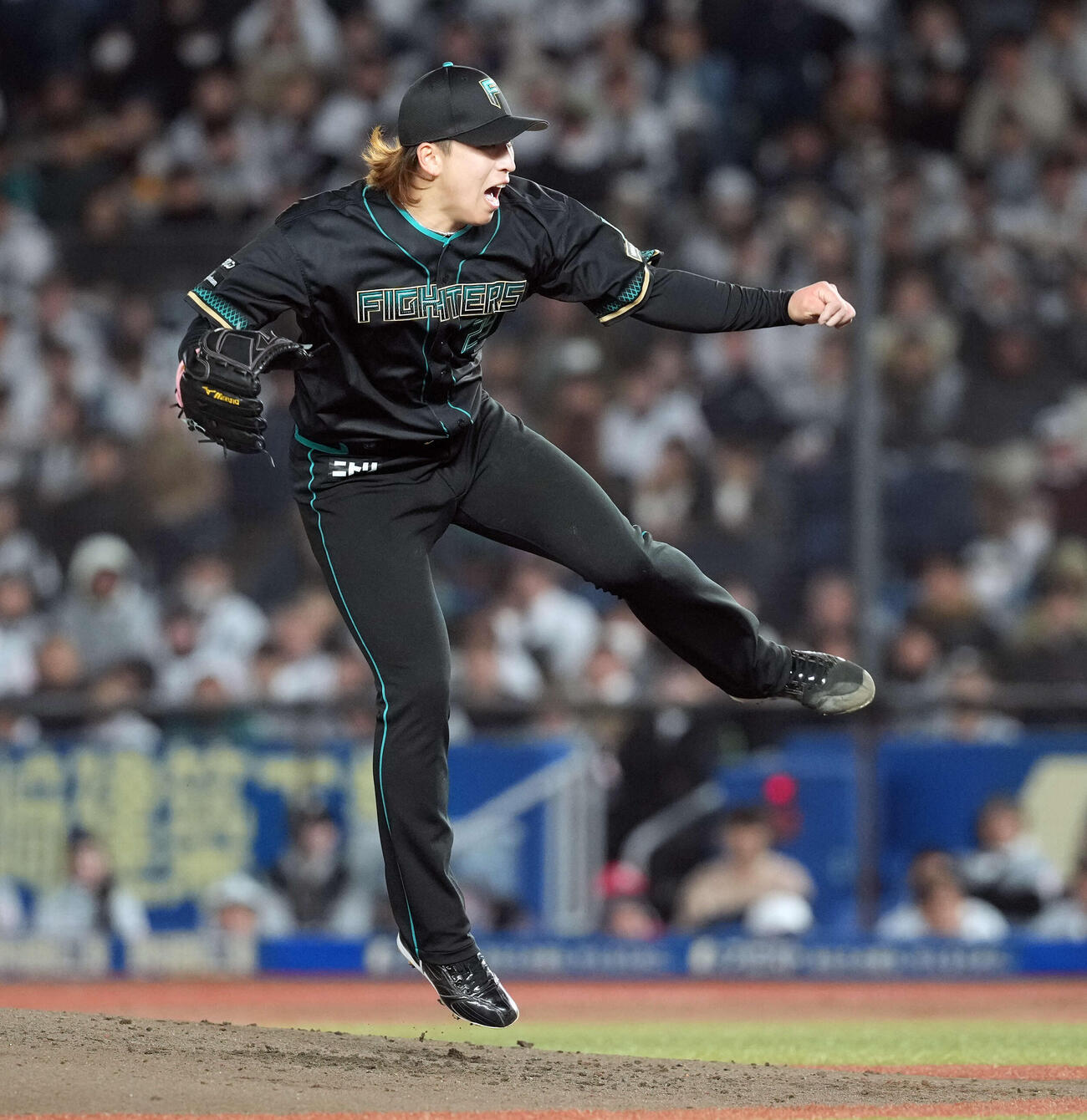 ロッテ対日本ハム　力投する日本ハム細野（撮影・たえ見朱実）