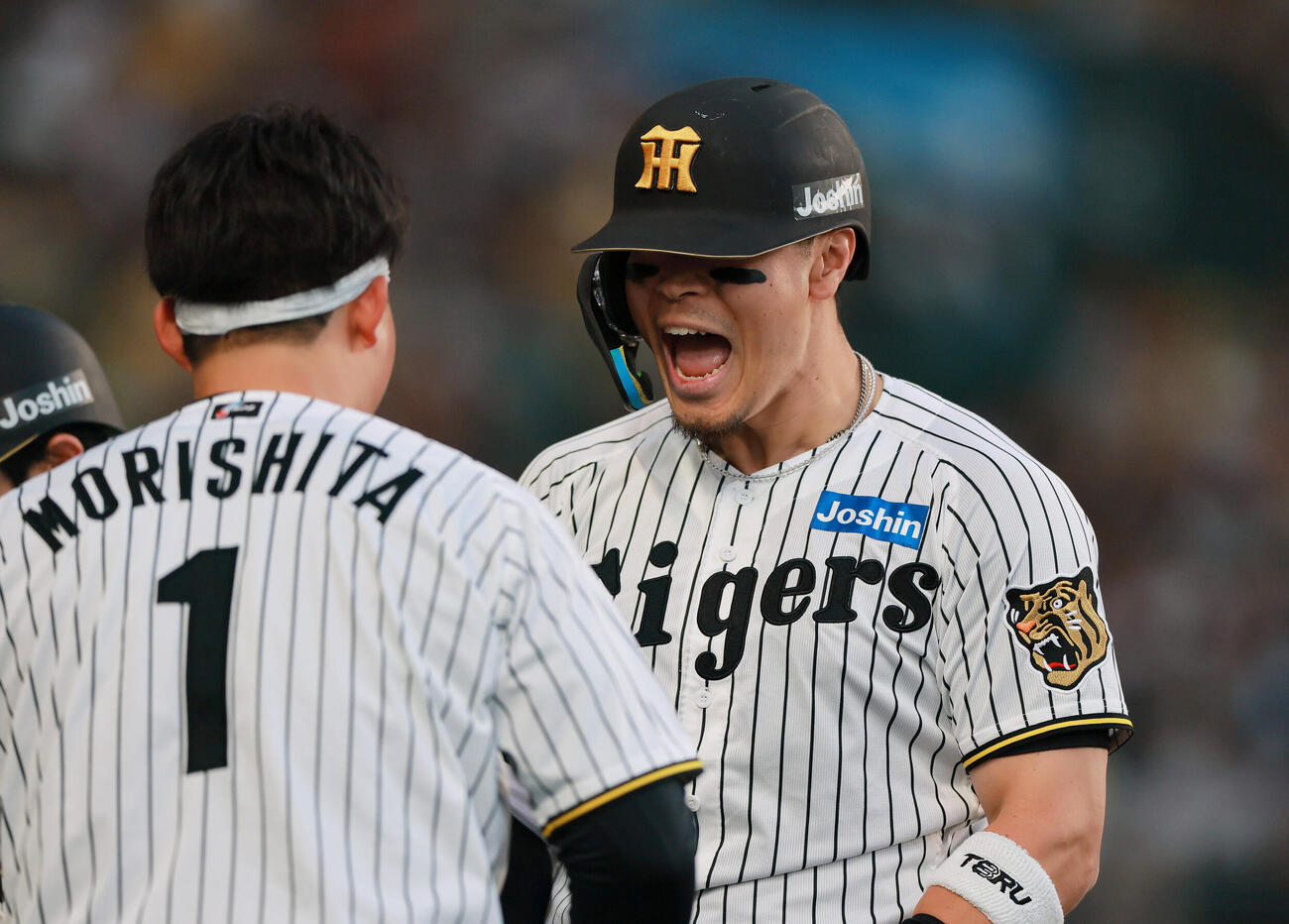 阪神対巨人　1回裏阪神2死一塁、佐藤（右）は2点本塁打を放ちベンチ前で雄たけびを上げる（撮影・上山淳一）