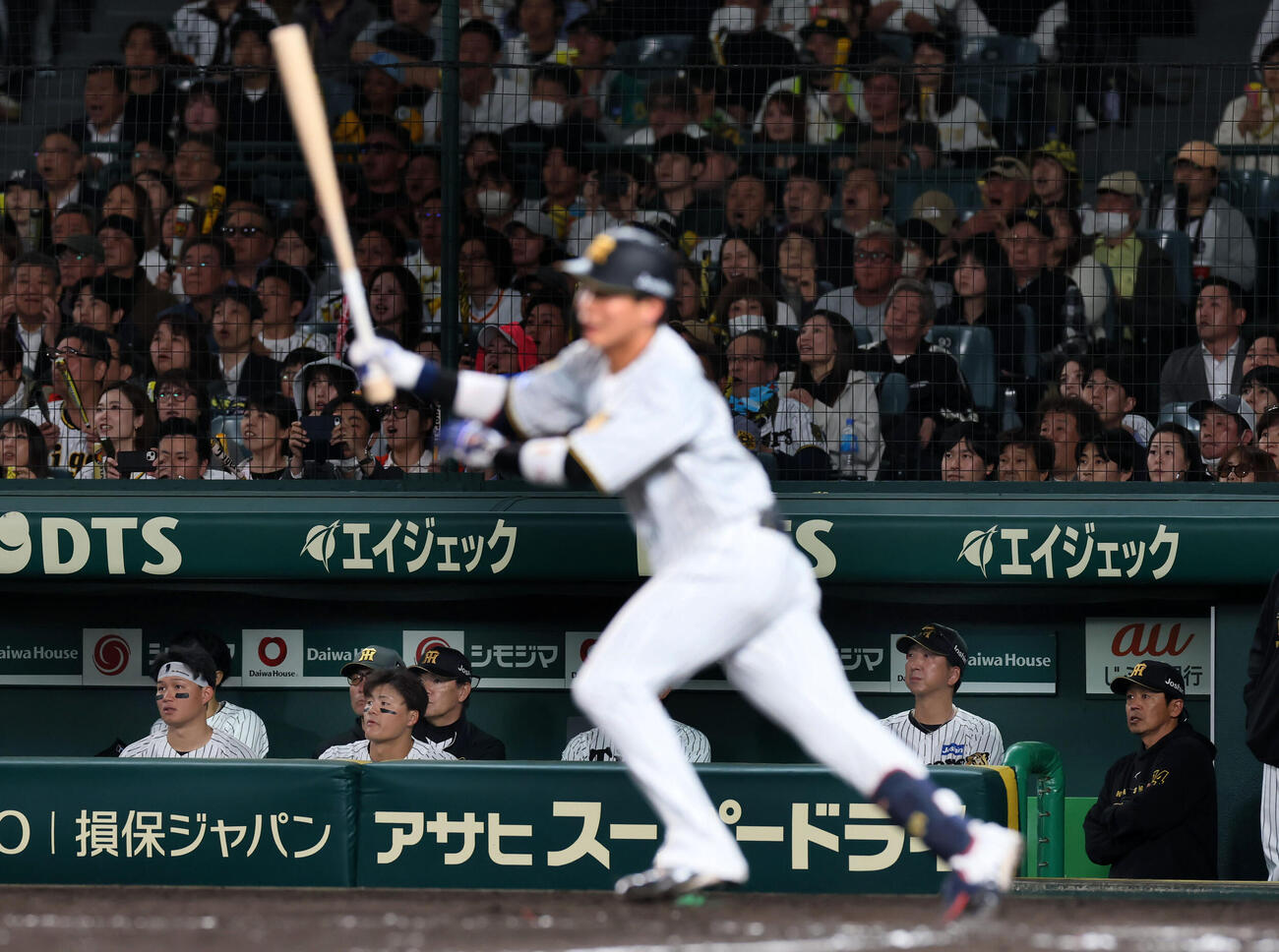 阪神対巨人　9回裏阪神2死、代打木浪の打席をベンチから見る右から2人目の藤川監督。左端は森下、左から2人目は前川（撮影・加藤哉）