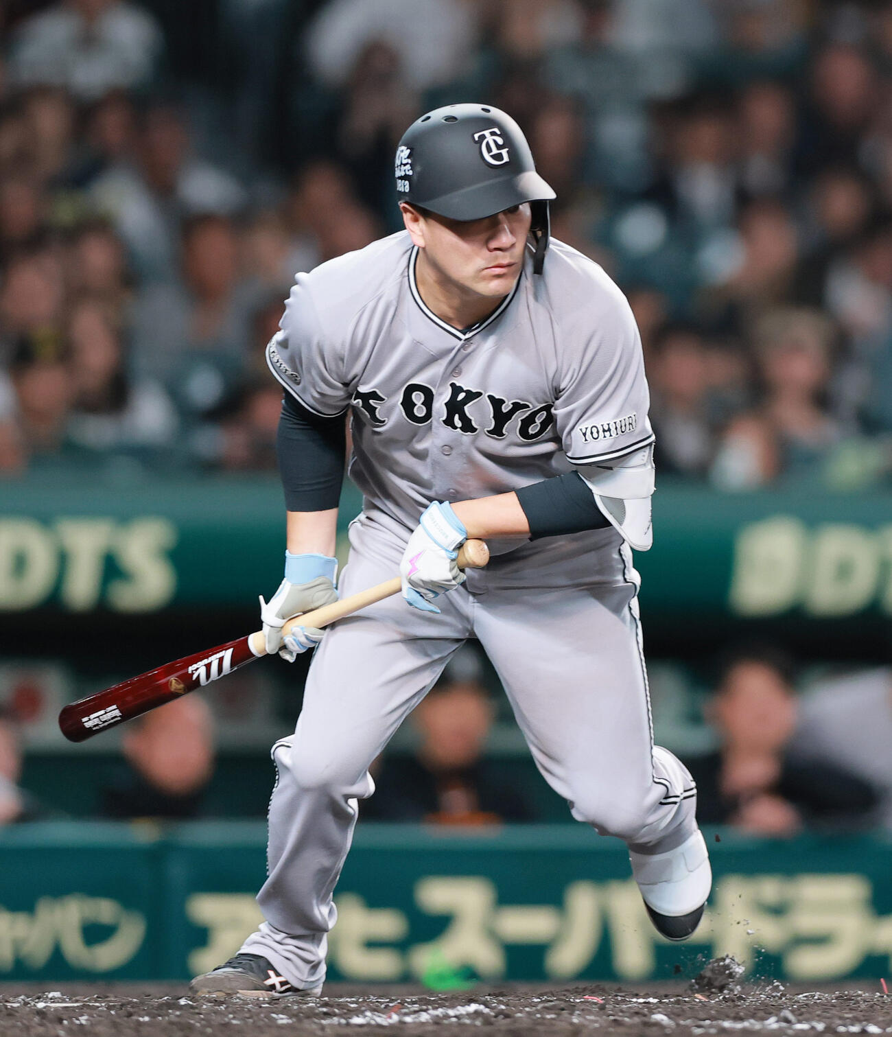 阪神対巨人　4回表巨人1死一塁、バントを決める田中将（撮影・上山淳一）