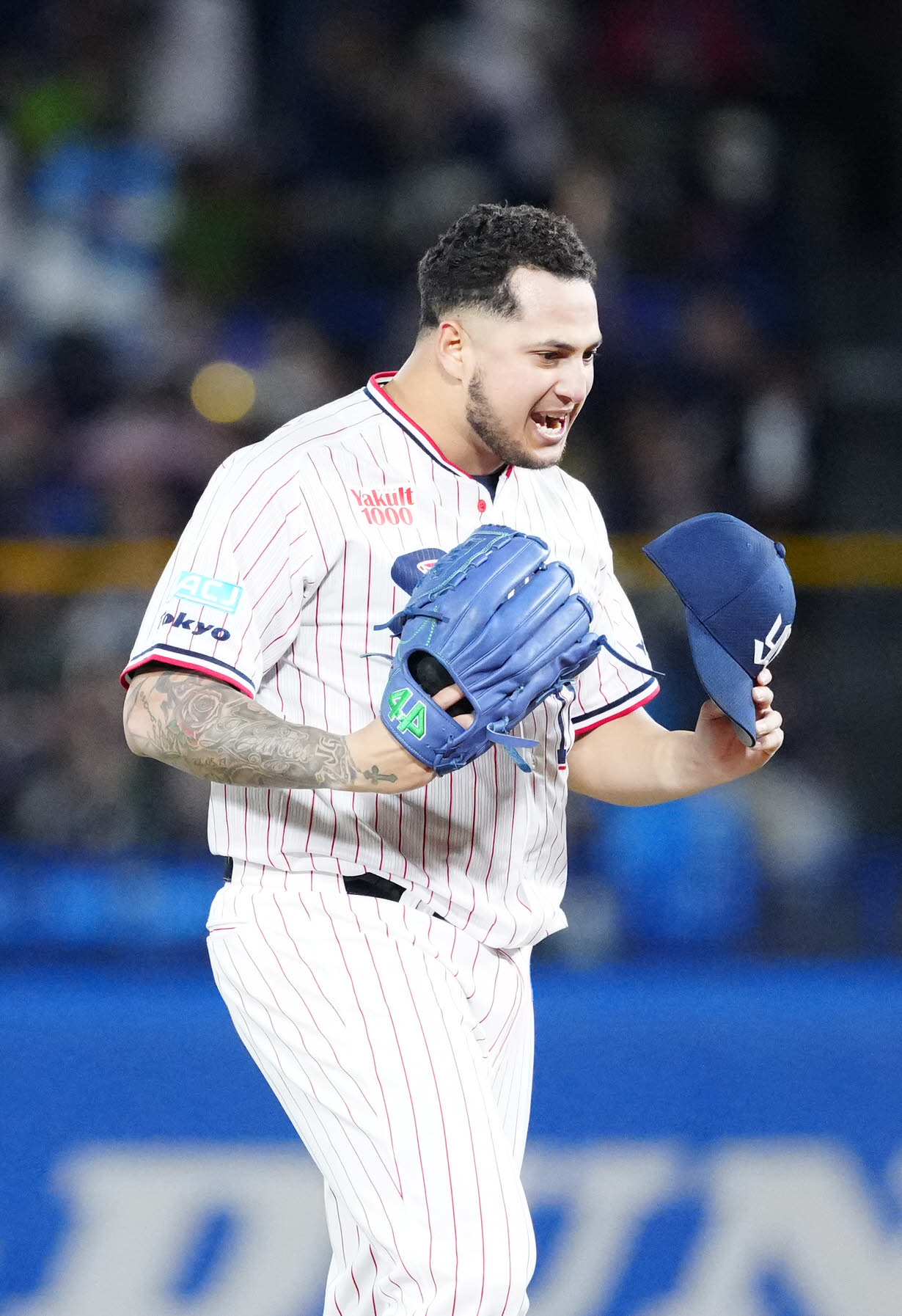 ヤクルト対DeNA 9回表DeNA2死一、二塁、宮下を右飛に仕留めたキハダ（撮影・江口和貴）