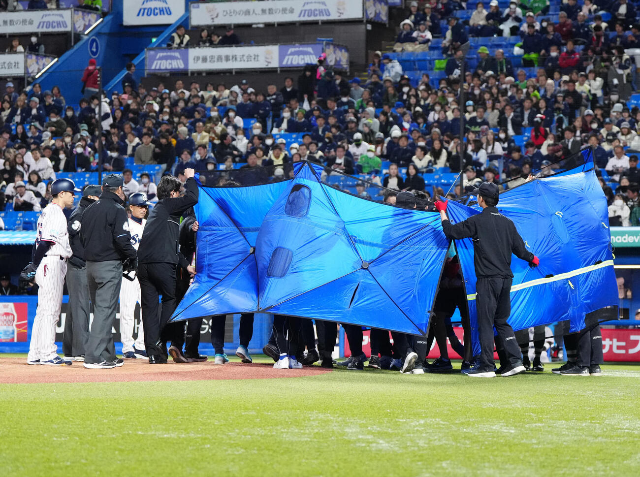 ヤクルト対DeNA 8回裏ヤクルト無死、オスナが放ったバットが当たり、倒れた川上球審の救護が行われ、シートで覆われる（撮影・江口和貴）