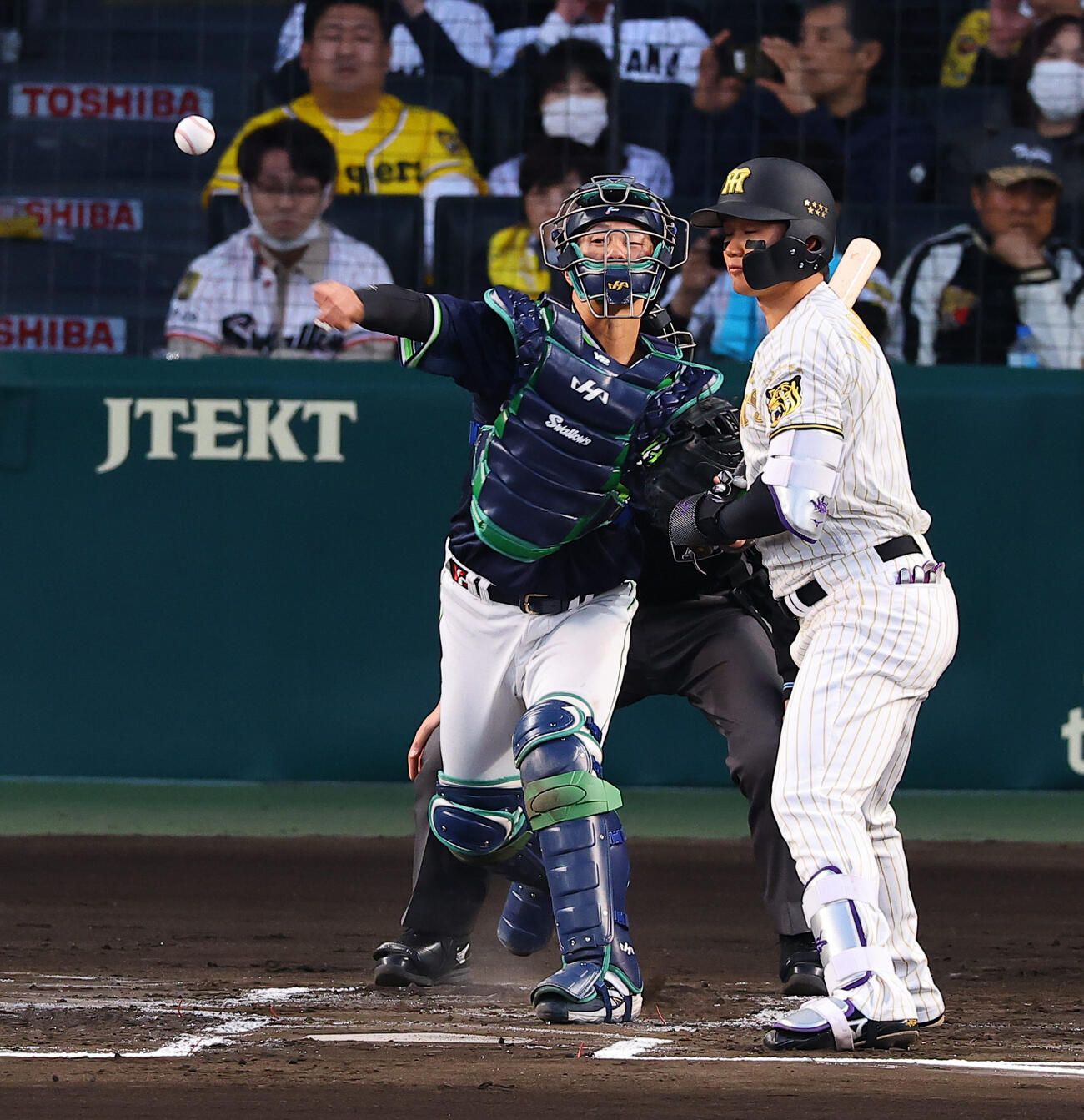 阪神対ヤクルト　1回裏阪神無死一、三塁、二盗を狙う中野を刺す古賀（2026年撮影）