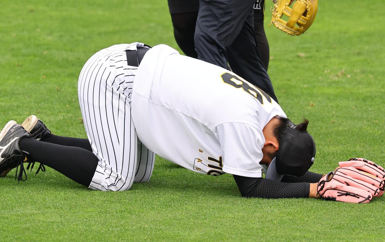 打球が右足に当たりグラウンドに倒れ込む伊原陵人（撮影・上田博志）