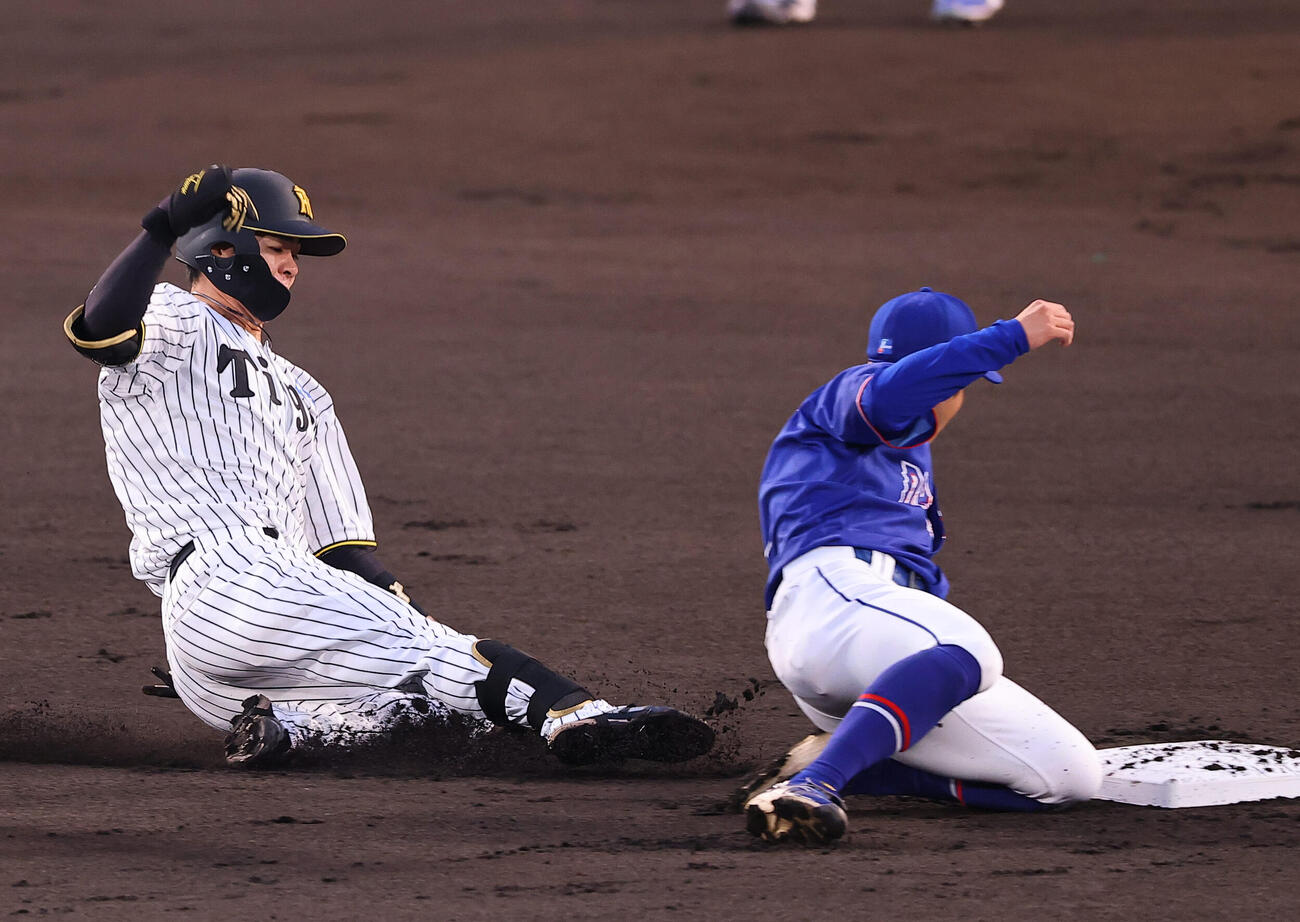 阪神対中日　1回裏阪神1死、安打を放った中野は二塁を狙うも憤死する（撮影・上田博志）