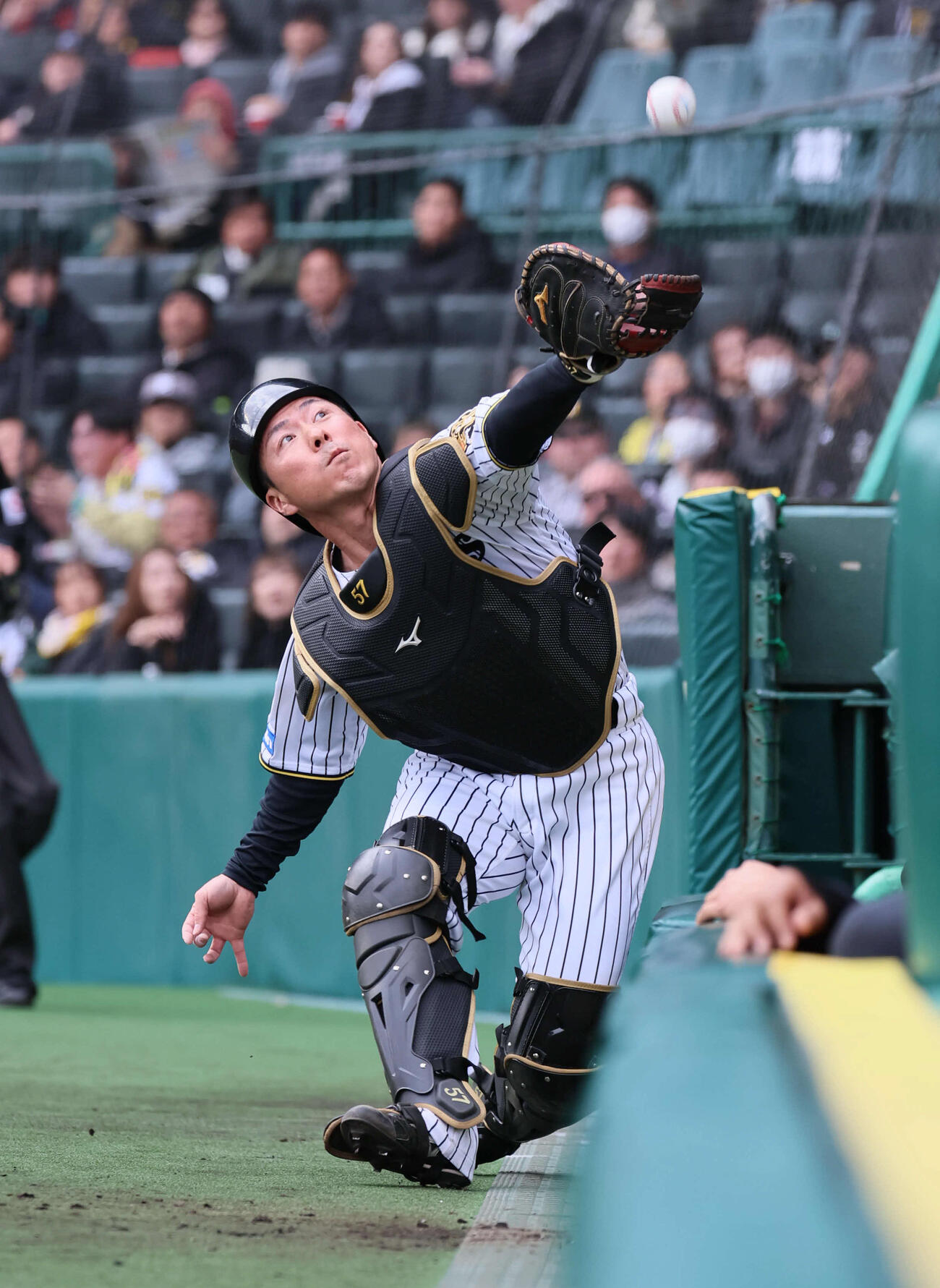 長坂拳弥（2026年3月撮影）