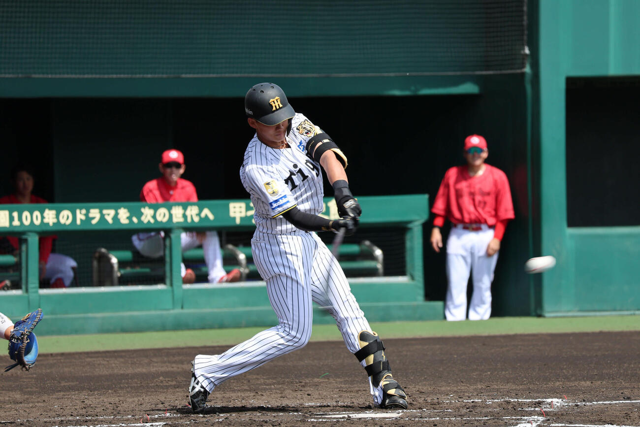 ファーム・リーグ西地区広島戦に出場した立石正広外野手（撮影・佐藤妙月）