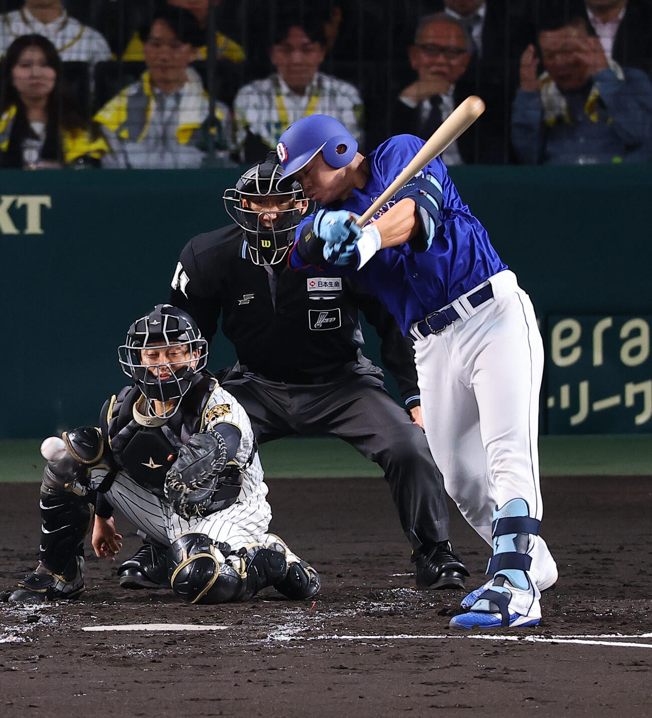 阪神対中日　3回表中日1死一塁、細川のファウルの打球が坂本の右ヒザに直撃する（撮影・上田博志）