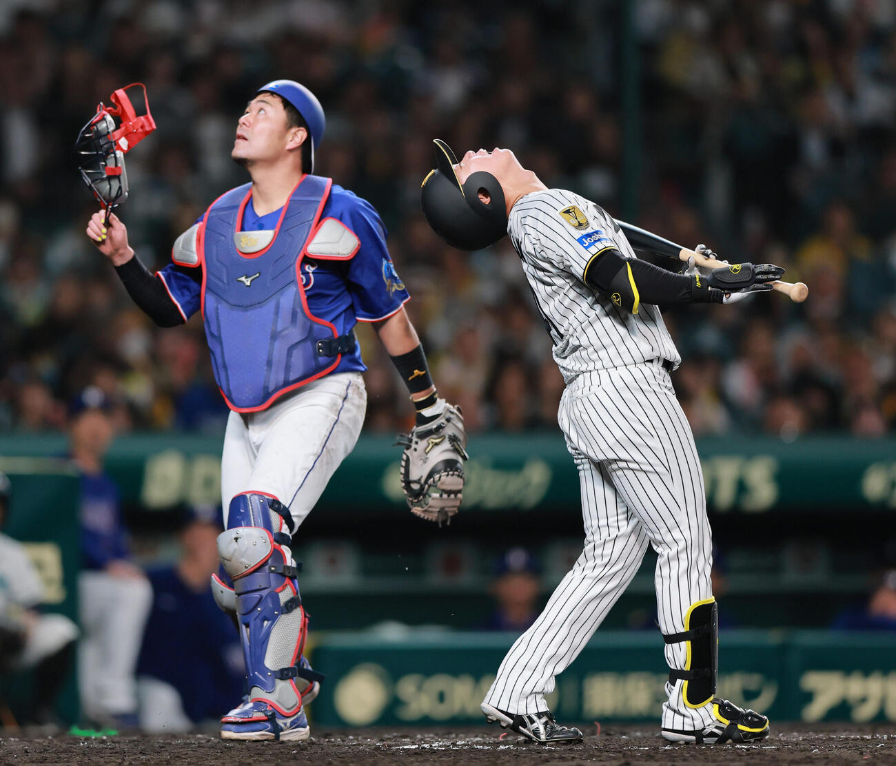 阪神対中日　3回裏阪神無死一塁、送りバントを失敗し悔しがる村上。捕手木下（撮影・上山淳一）