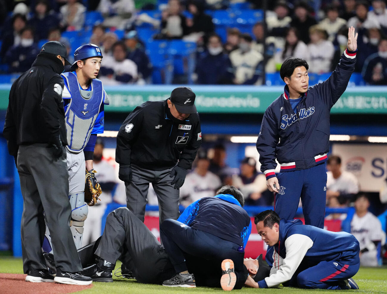 ヤクルト対DeNA 8回裏ヤクルト無死、オスナが放ったバットが当たり倒れ、救護される川上球審（撮影・江口和貴）