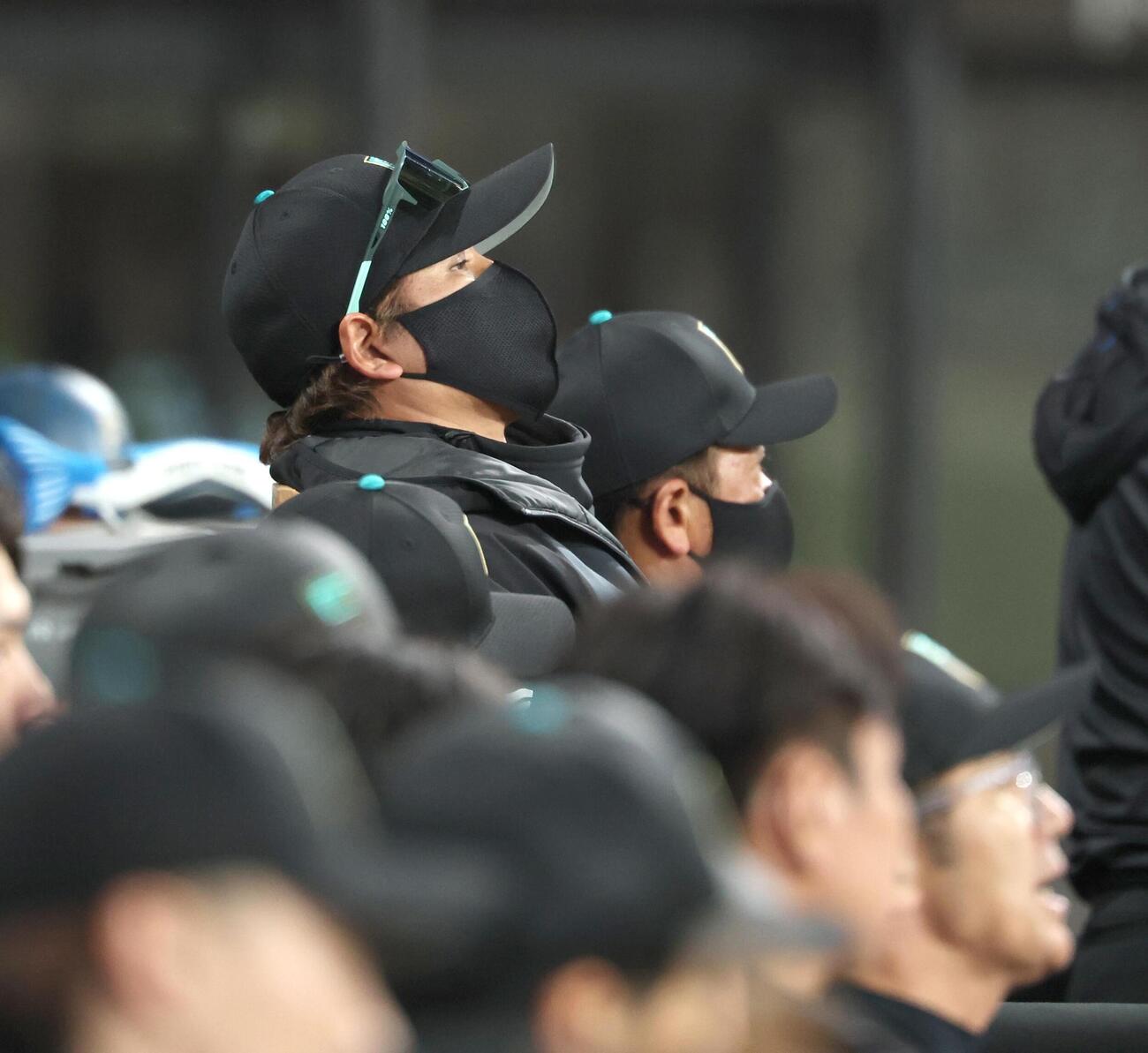 日本ハム対西武　試合を見つめる新庄監督（撮影・黒川智章）