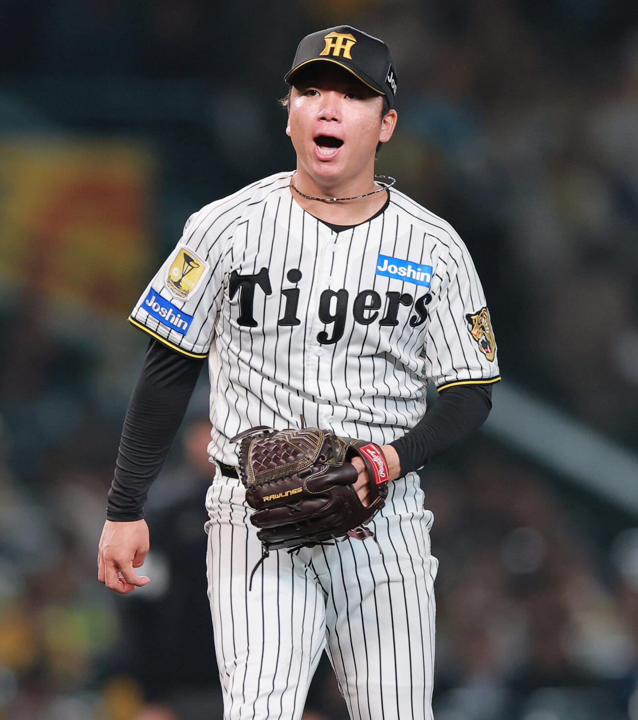 阪神対中日　6回表中日2死、高橋周を空振り三振に仕留める村上（撮影・上山淳一）