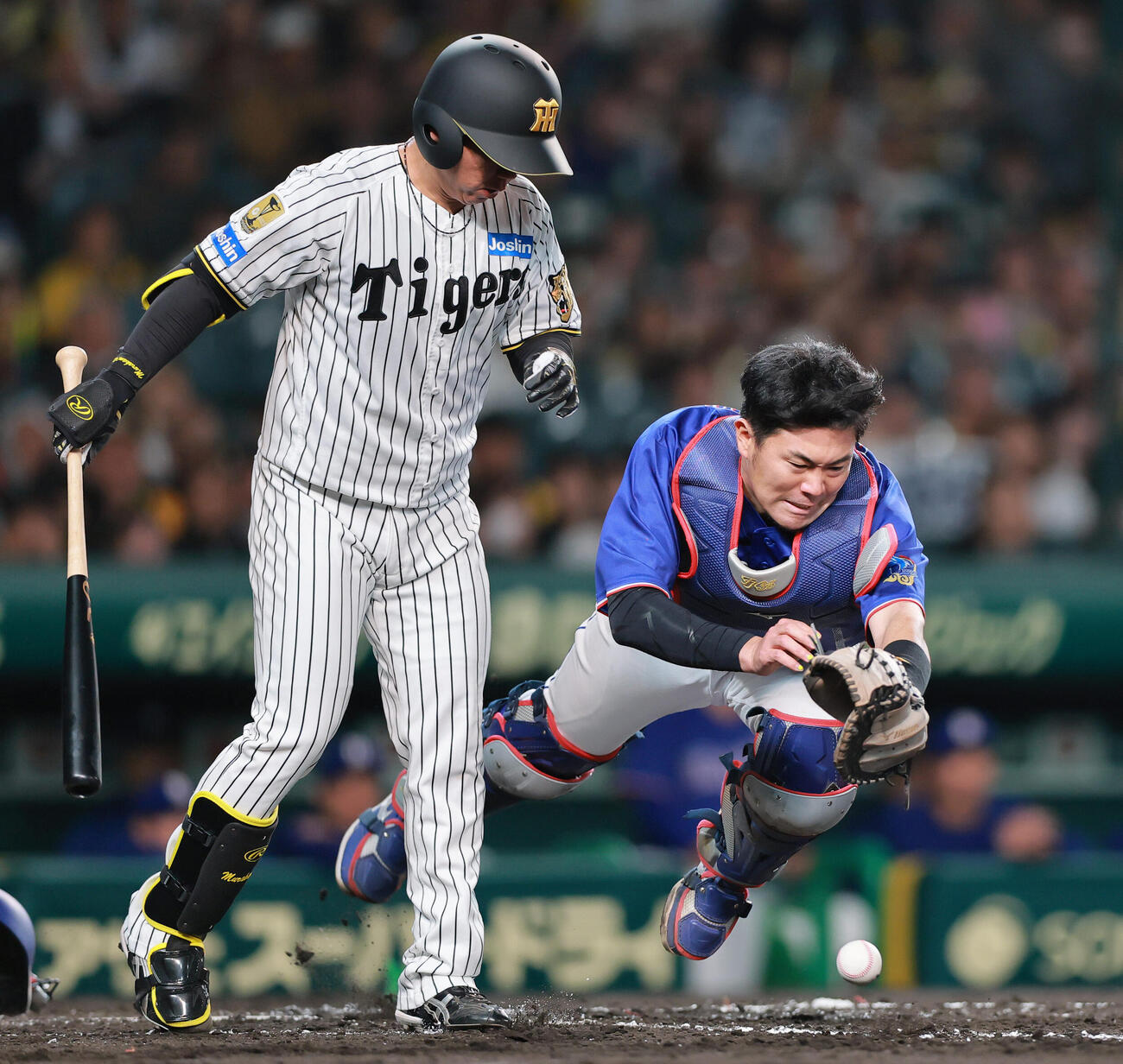阪神対中日　3回裏阪神無死一塁、村上（左）の送りバントのフライを落球する捕手木下（撮影・上山淳一）