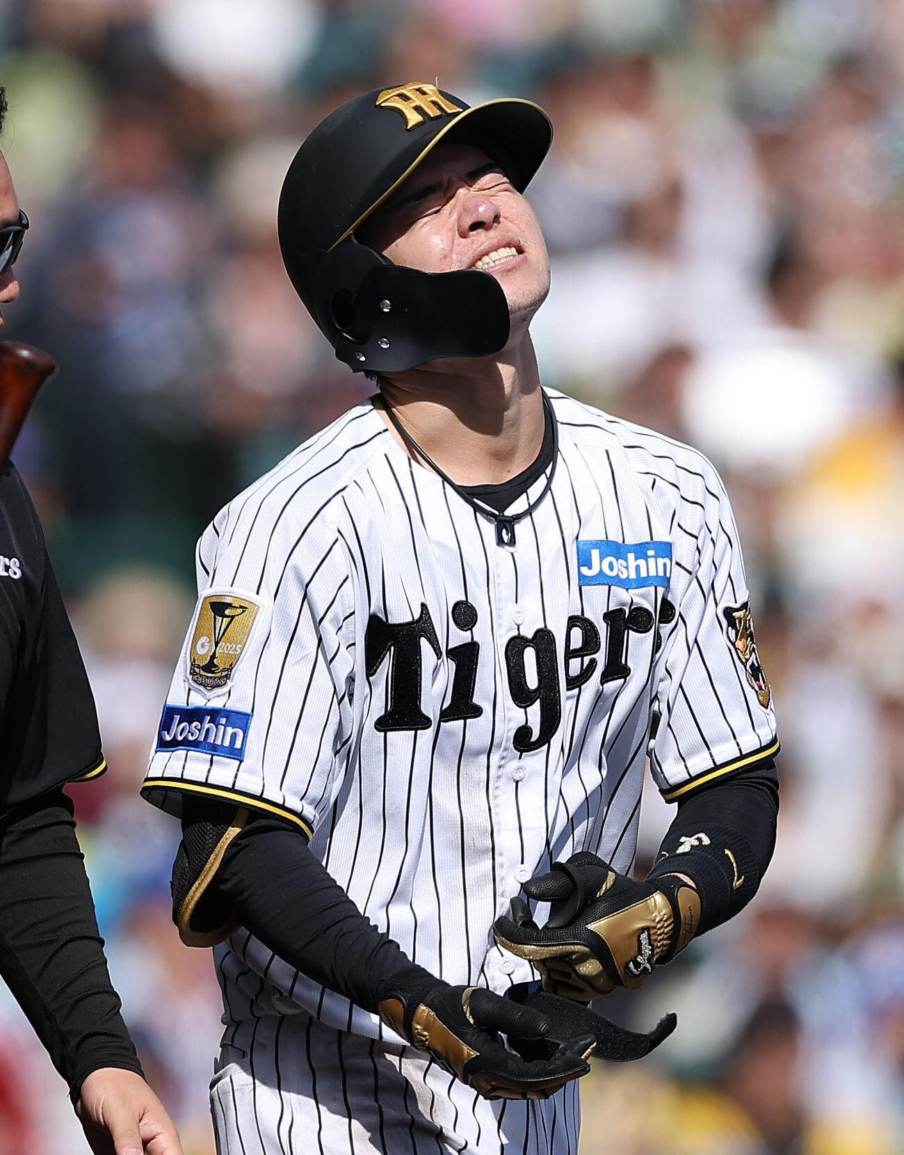 阪神対中日　3回裏阪神2死、死球を受け痛がる中野（撮影・前田充）