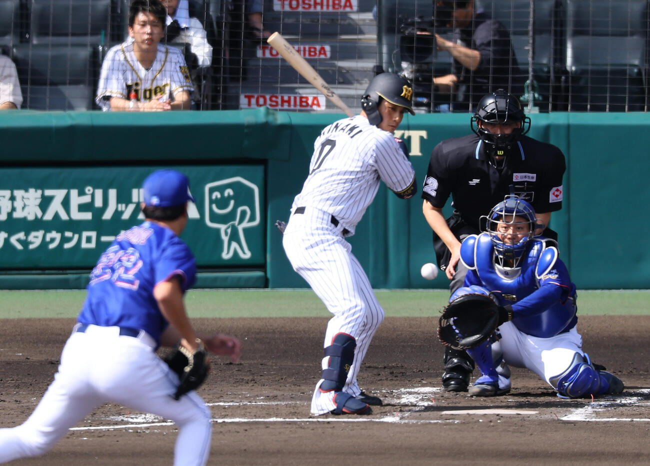 阪神対中日　2回裏阪神1死、木浪は三振に倒れる（撮影・上田博志）