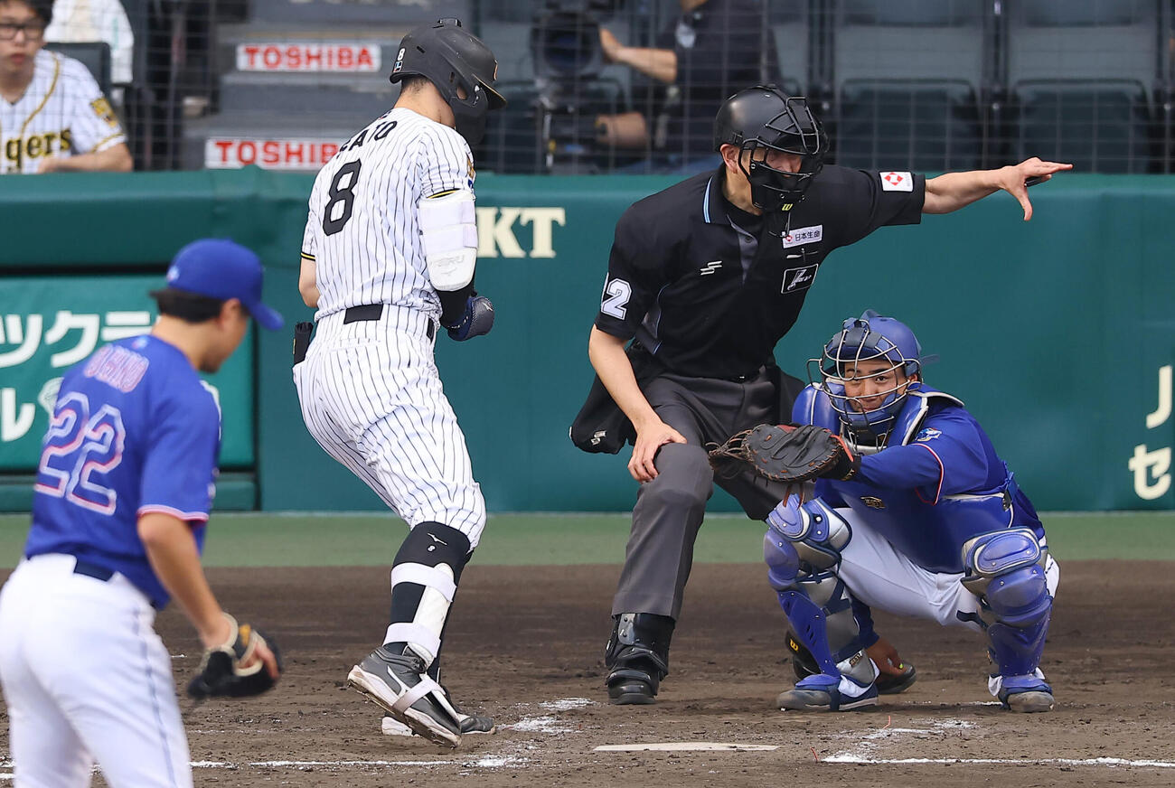 阪神対中日　ヘルメットを被る球審の原（撮影・上田博志）