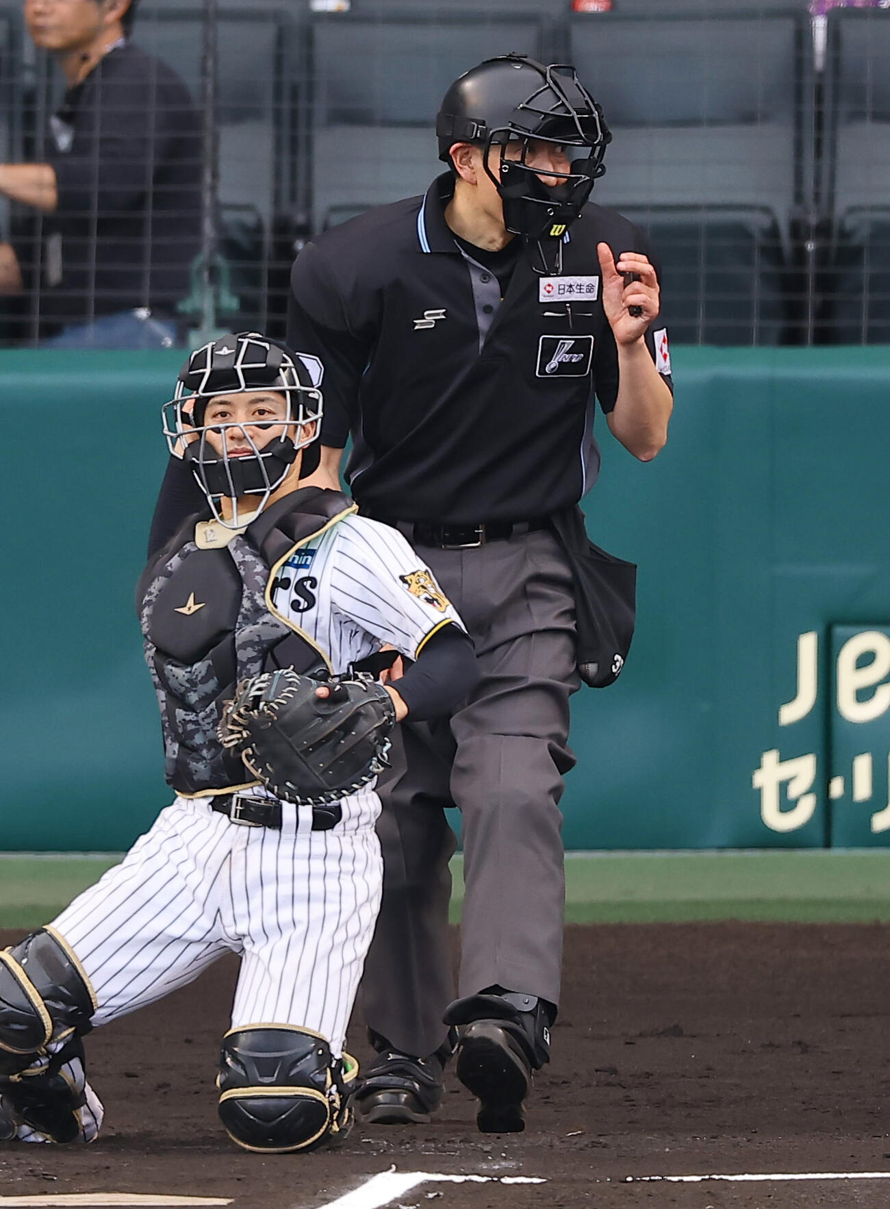 阪神対中日　ヘルメットを被る球審の原（撮影・上田博志）