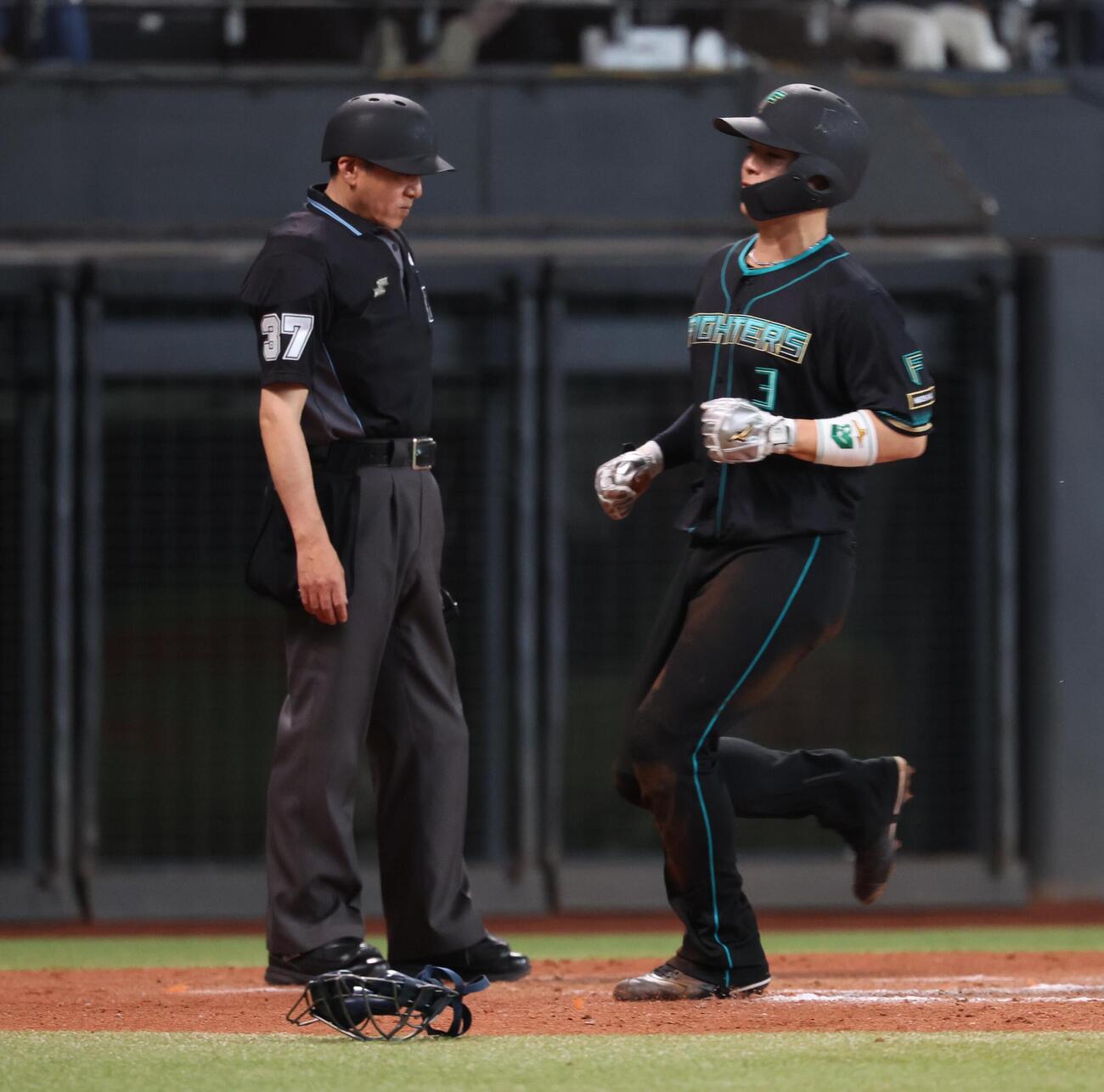 日本ハム対西武　へルメットをかぶる球審（撮影・黒川智章）