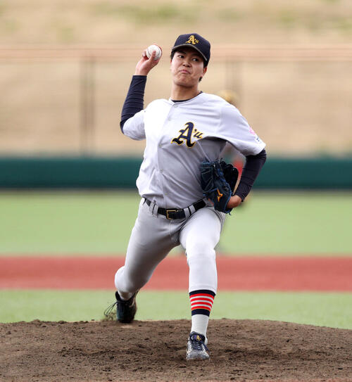 青森大・小金井凌生、冷静に完封勝利「無駄な力が入ることもなく」考えすぎない投球は成長の証し