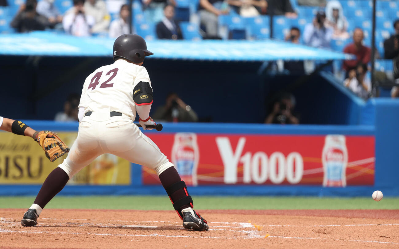 東大対早大　3回裏早大無死一塁、阿部は送りバントを決める（撮影・柴田隆二）